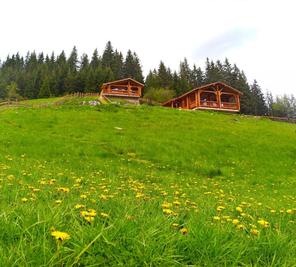 Къщи За Гости Под Звездите Pamporovo Exterior foto